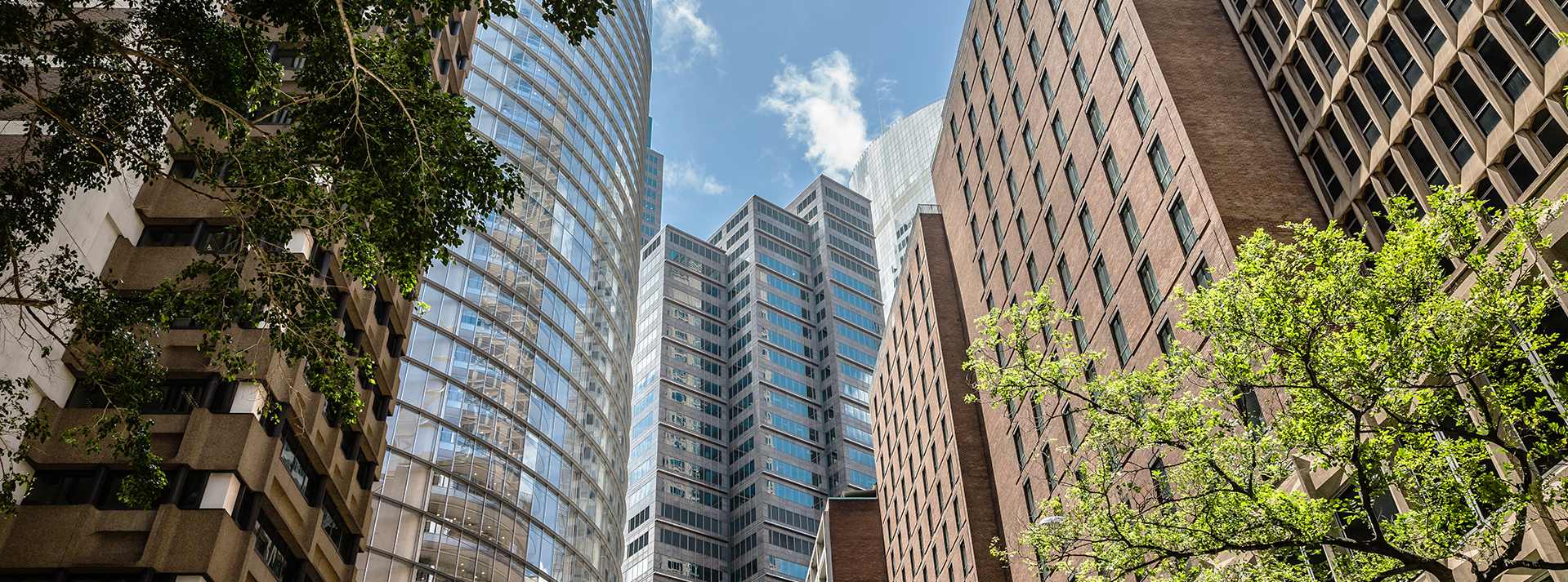 Looking up at office towers in Sydney's CBD